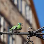 Regiohotel Quedlinburger Hof - #historischercharme #zentralelage #wellness #freeparking 호텔