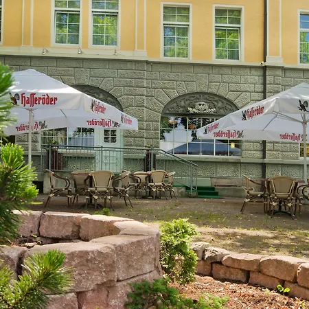 Regiohotel Quedlinburger Hof - #historischercharme #zentralelage #wellness #freeparking 酒店