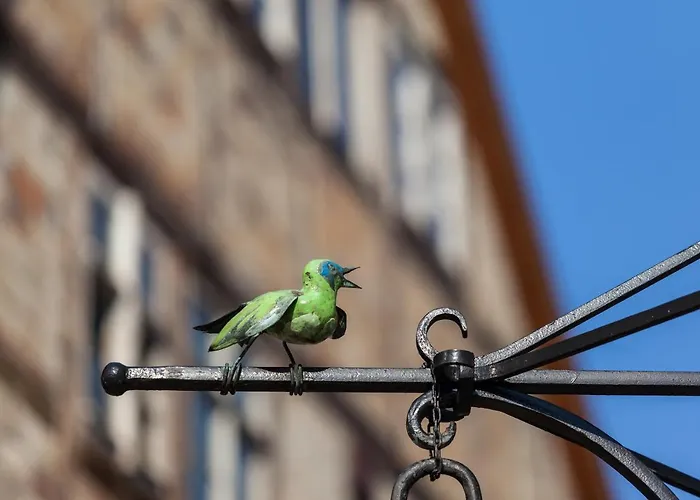 Regiohotel Quedlinburger Hof - #historischercharme #zentralelage #wellness #freeparking Hotel