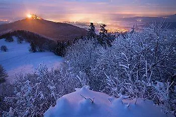 Regiohotel Quedlinburger Hof - #historischercharme #zentralelage #wellness #freeparking 奎德林堡