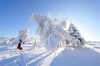 Regiohotel Quedlinburger Hof - #historischercharme #zentralelage #wellness #freeparking Hotel 3*