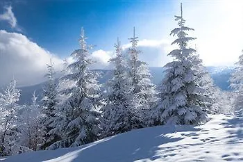 ホテル Regiohotel Quedlinburger Hof - #historischercharme #zentralelage #wellness #freeparking 3*